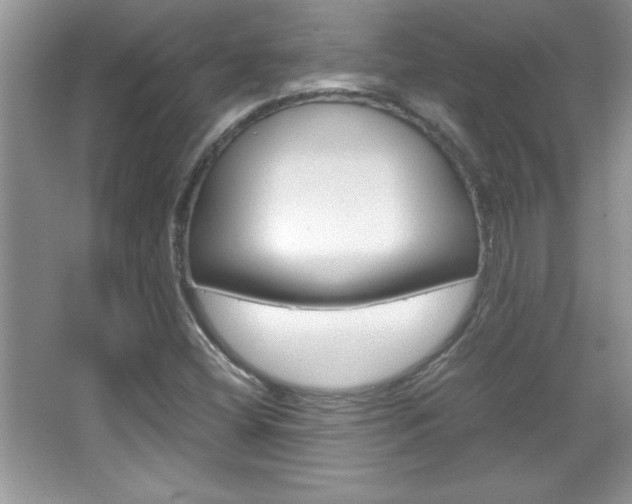 X0000067951404200604131151