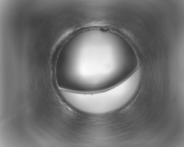 X0000067951406200604131151