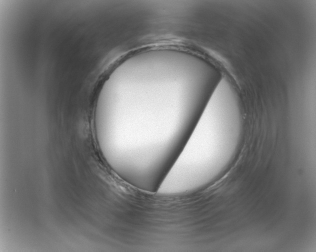 X0000067951407200604131151