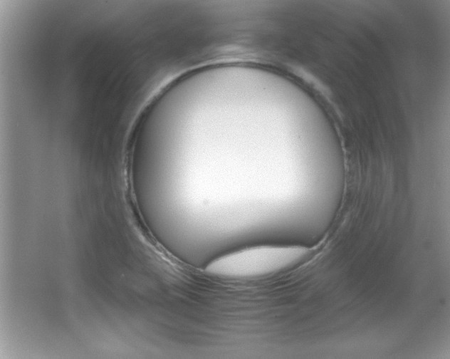 X0000067951415200604131151