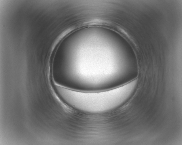 X0000067951418200604131151
