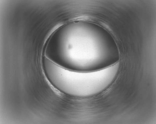 X0000067951426200604131151