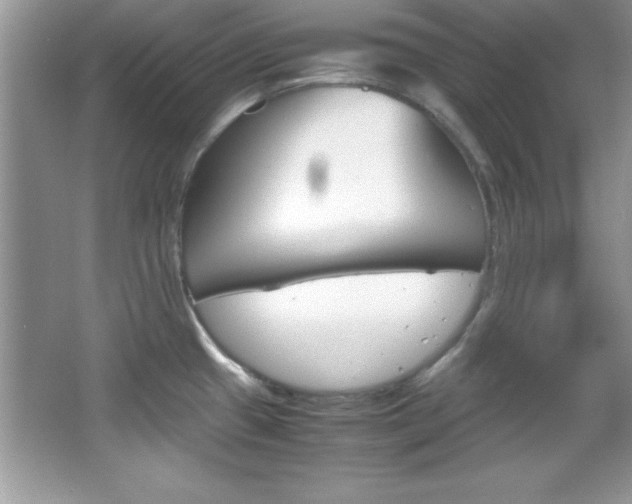 X0000067951433200604131151