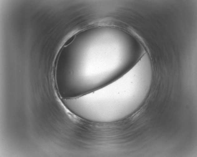 X0000067951434200604131151