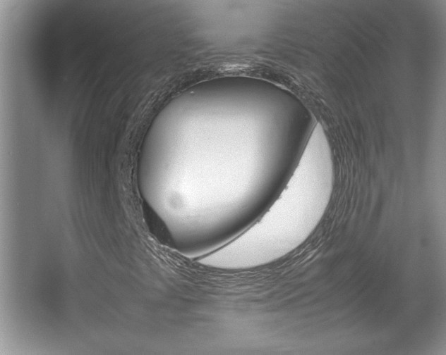 X0000067951441200604131150