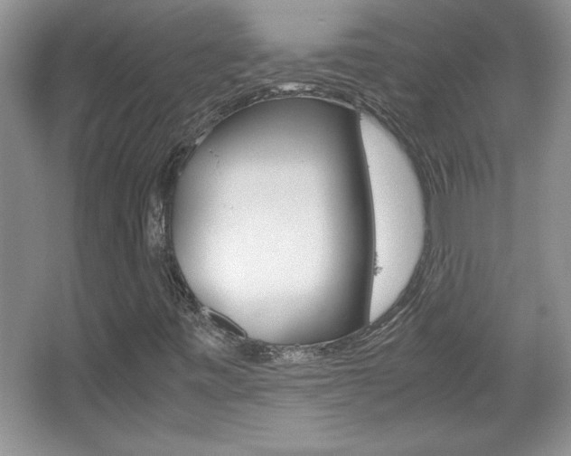 X0000067951443200604131150