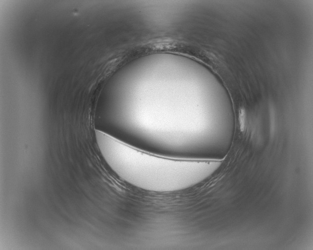 X0000067951444200604131150