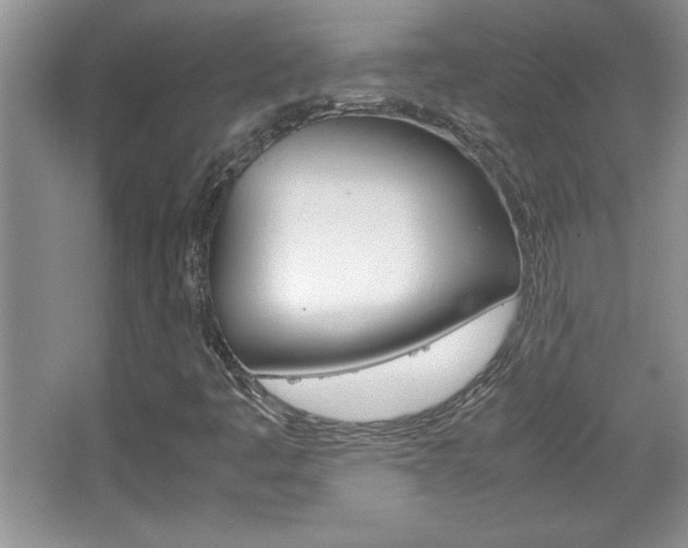 X0000067951445200604131150