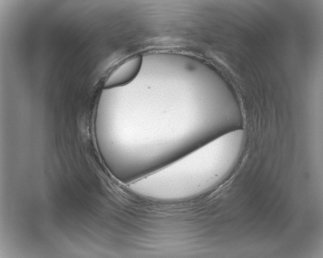 X0000067951451200604131150