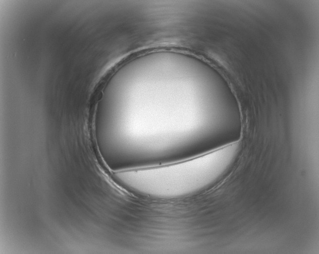 X0000067951452200604131150