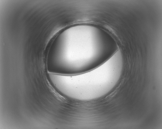 X0000067951458200604131150