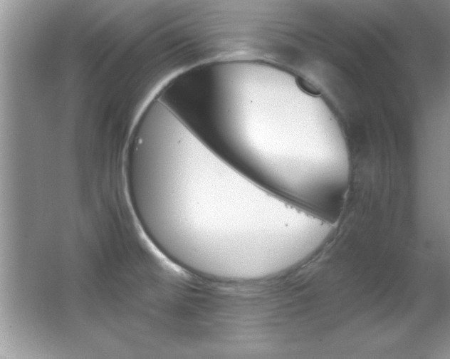 X0000067951476200604131150