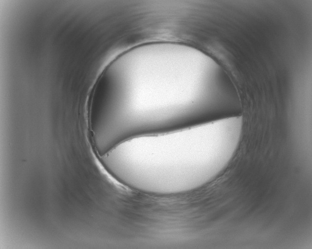 X0000067951479200604131150