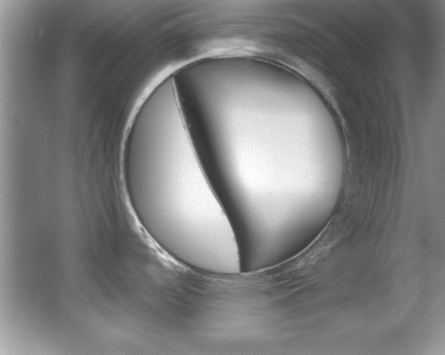 X0000067951488200604131150