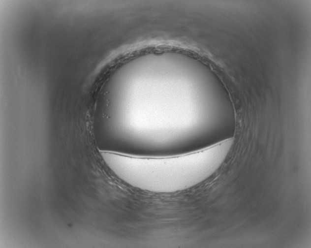 X0000067951495200604131149