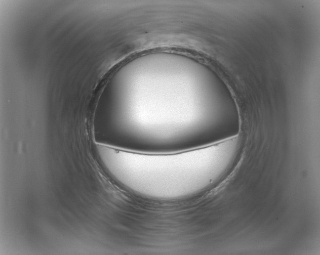 X0000067951497200604131149
