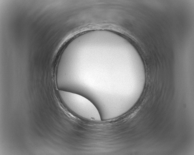 X0000067951498200604131149