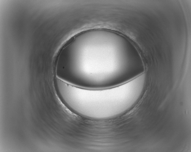 X0000067951500200604131149