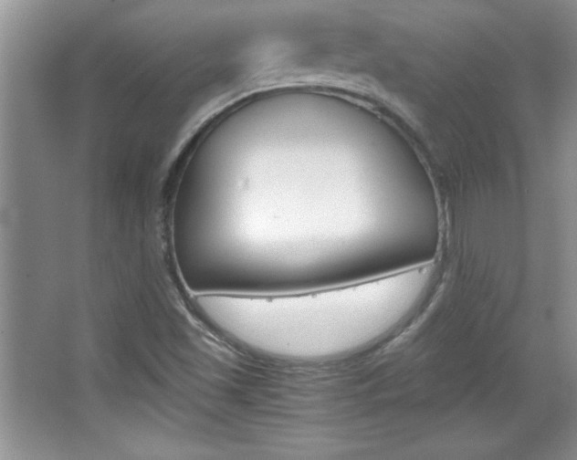X0000067951501200604131149