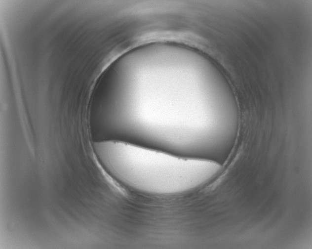 X0000067951521200604131149
