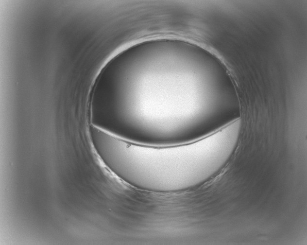 X0000067951534200604131150
