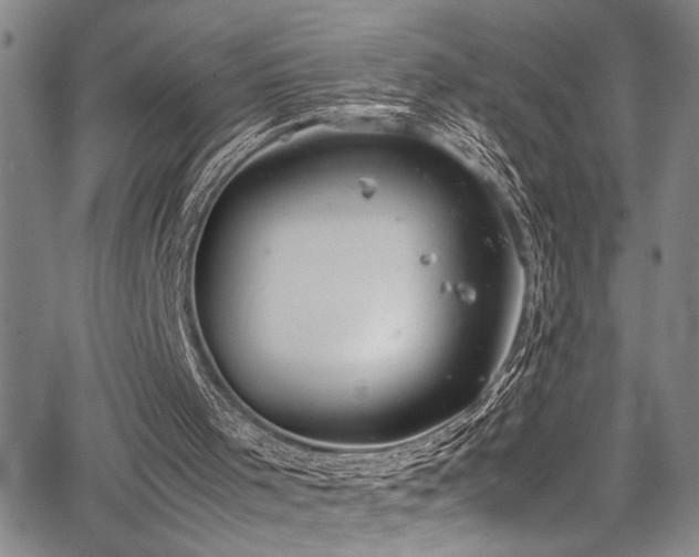 X0000067950001200604131447