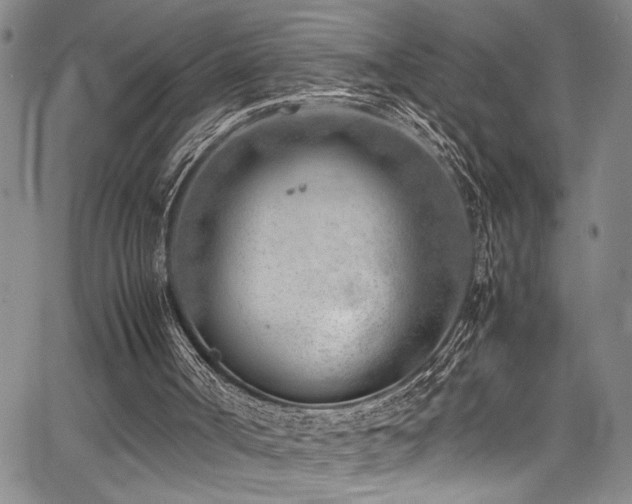 X0000067950002200604131447