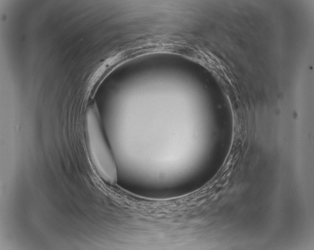 X0000067950003200604131447