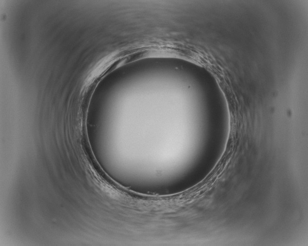 X0000067950005200604131447