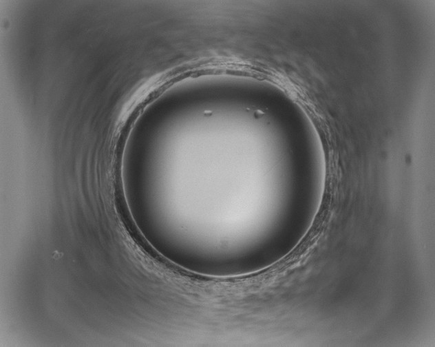 X0000067950007200604131447