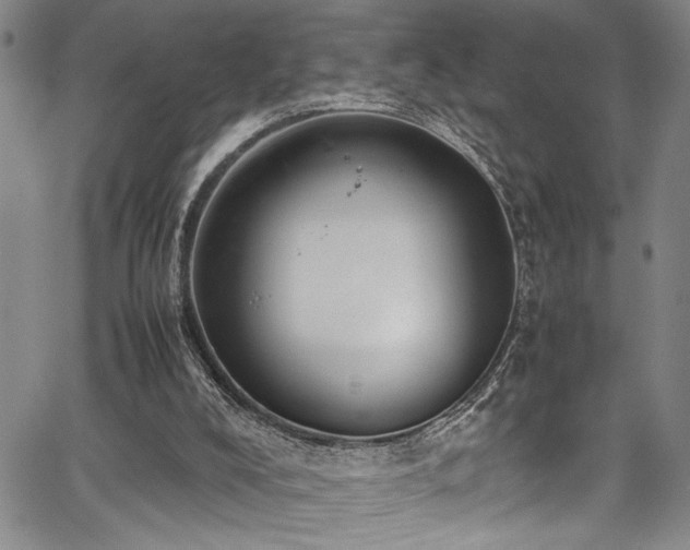 X0000067950008200604131447