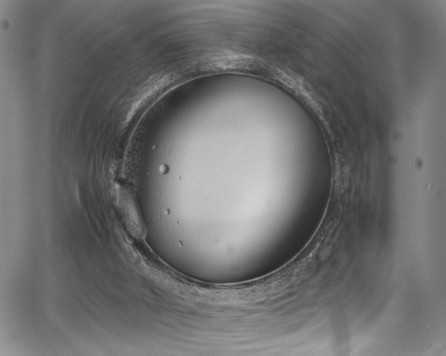 X0000067950010200604131447