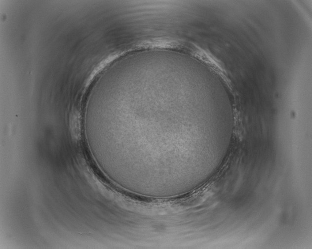 X0000067950012200604131447