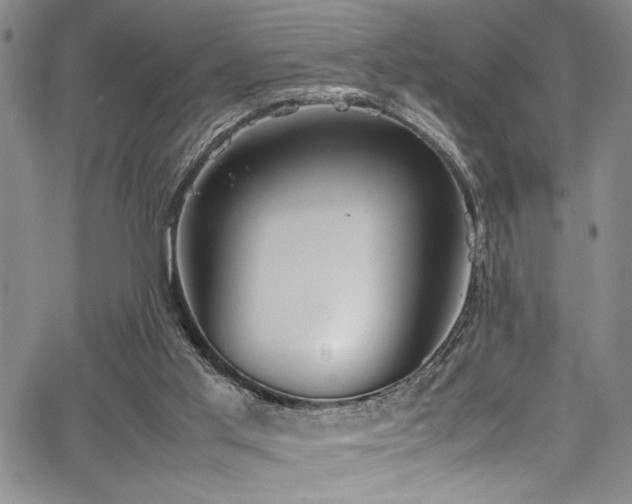 X0000067950013200604131447