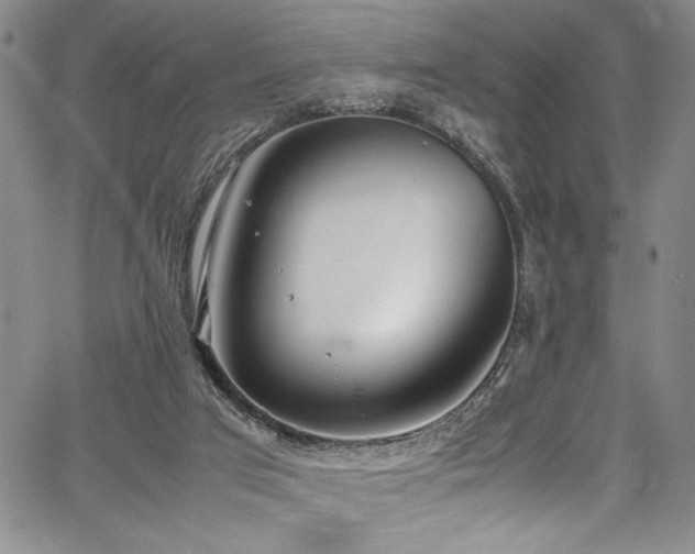 X0000067950017200604131447