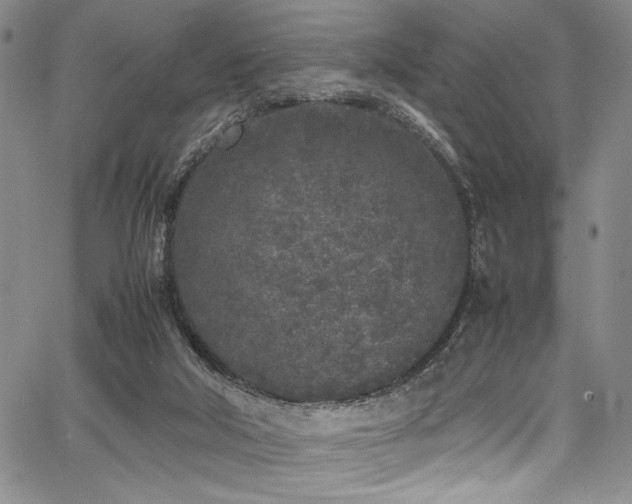 X0000067950018200604131447