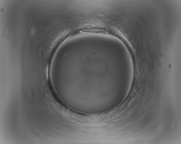 X0000067950019200604131447