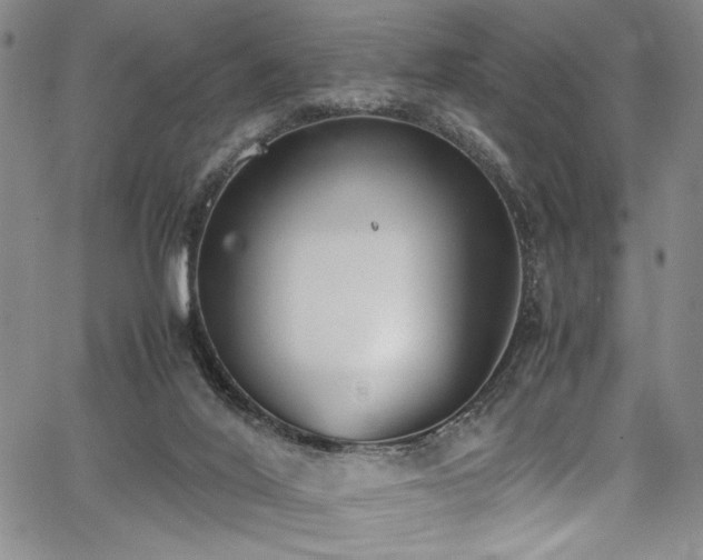 X0000067950020200604131447