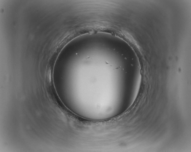 X0000067950021200604131447