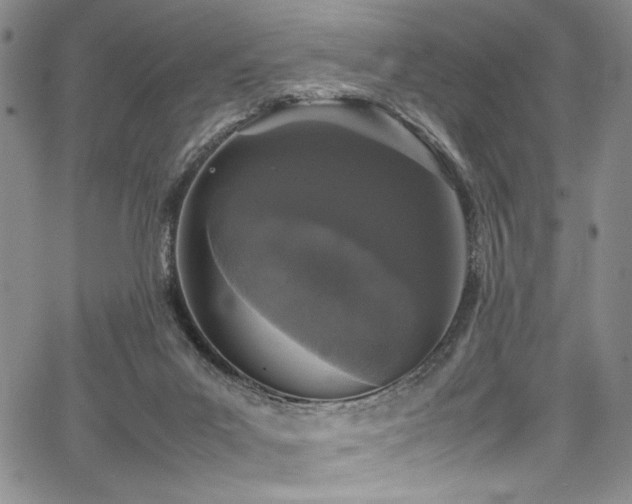 X0000067950023200604131447