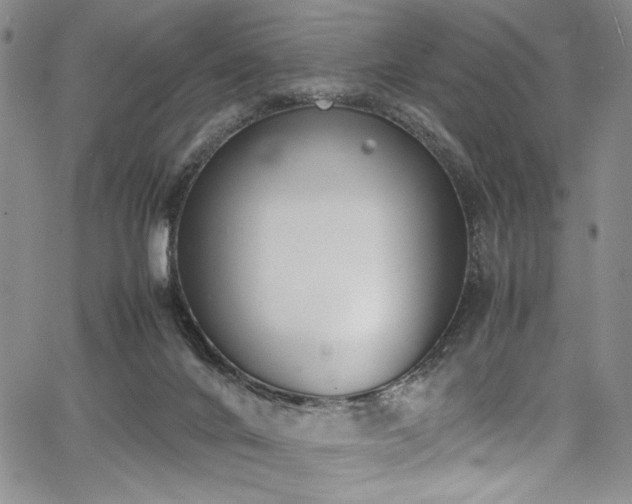 X0000067950024200604131447