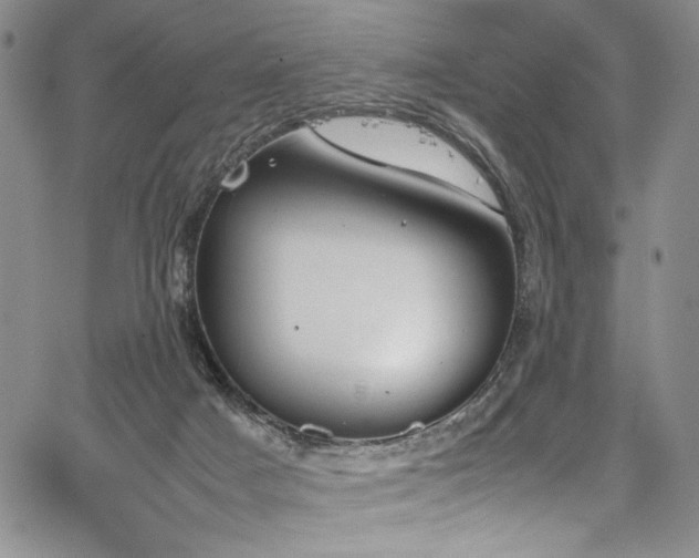 X0000067950025200604131447