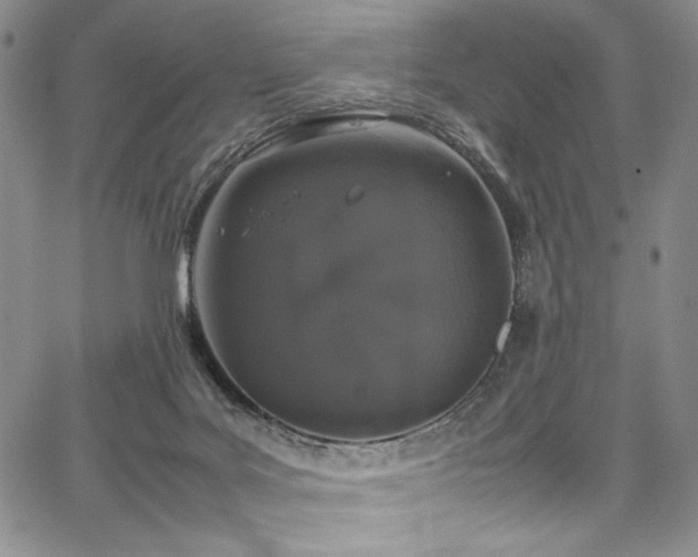 X0000067950027200604131447