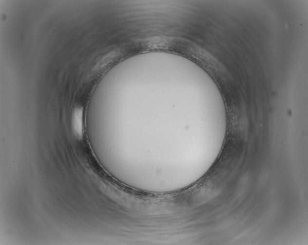 X0000067950028200604131447