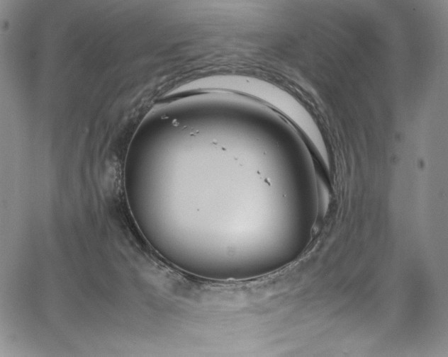 X0000067950029200604131447