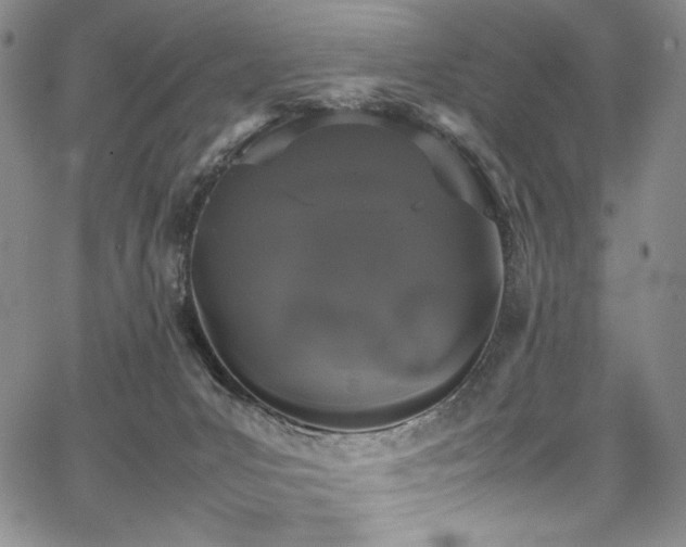 X0000067950031200604131447