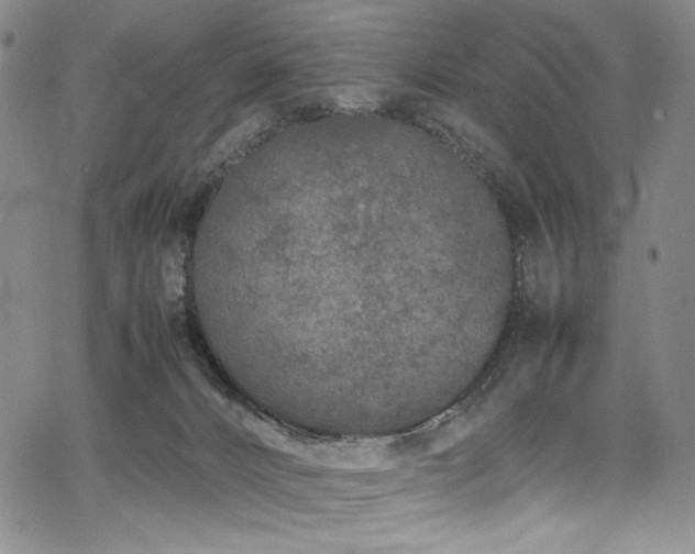 X0000067950032200604131447