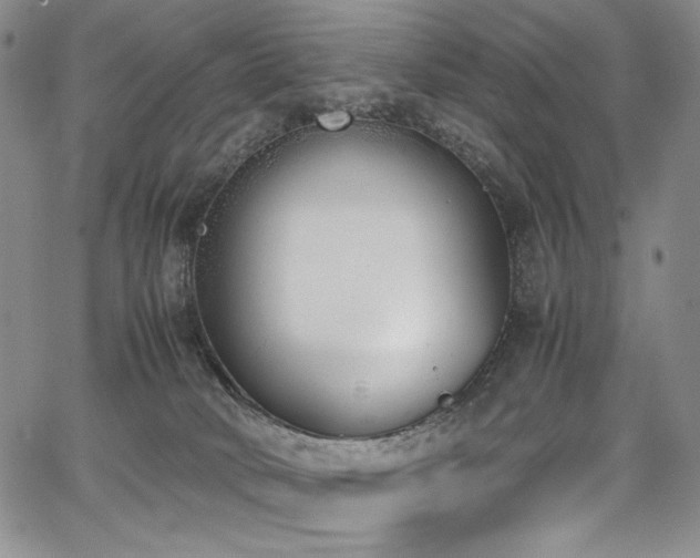 X0000067950034200604131447