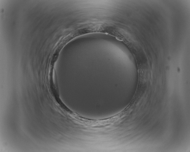 X0000067950035200604131447