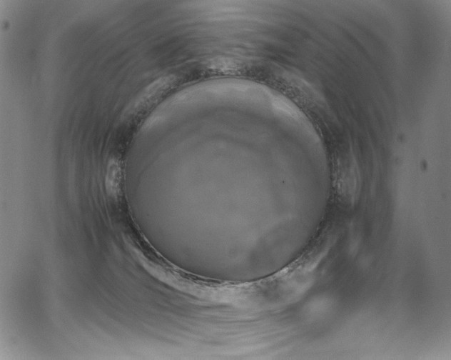 X0000067950036200604131447